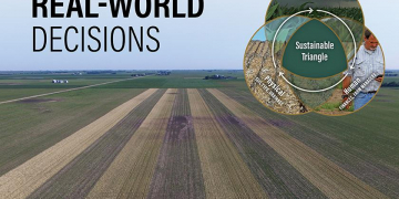 Real-World covers crop decisions