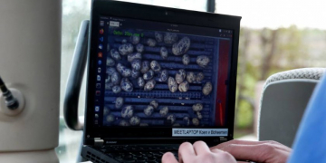 Seed potato cultivation: precision farming helps arable farmers