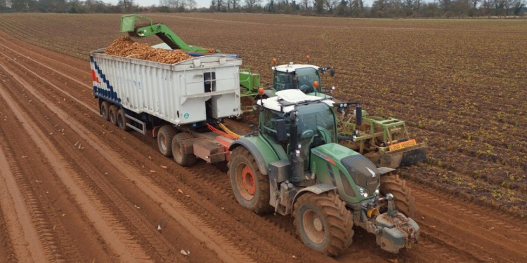 East Anglia's farmers