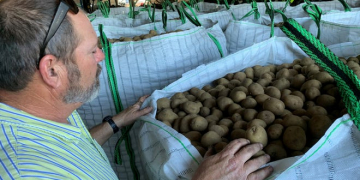 EXTENSION NOTESPlanting potatoes comeswith obstacles for farmers