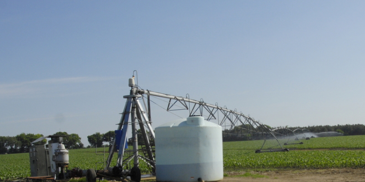 center pivot fertigation potato