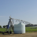 center pivot fertigation potato