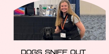 Dogs sniff out significant potato diseases in fields and storages