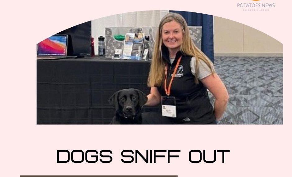 Dogs sniff out