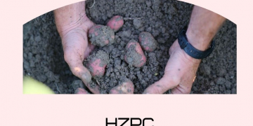 HZPC: The importance of healthy soil