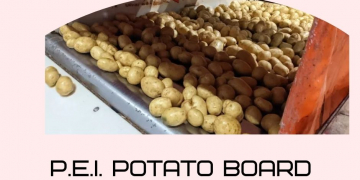 P.E.I. Potato Board says Ottawa should reduce restrictions on domestic potato trade