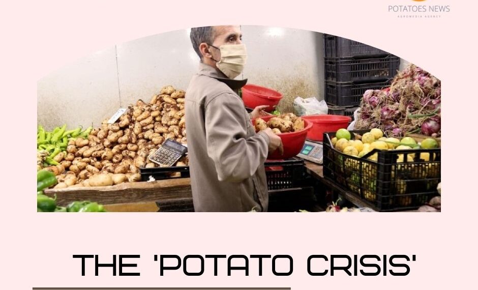 The ‘potato crisis