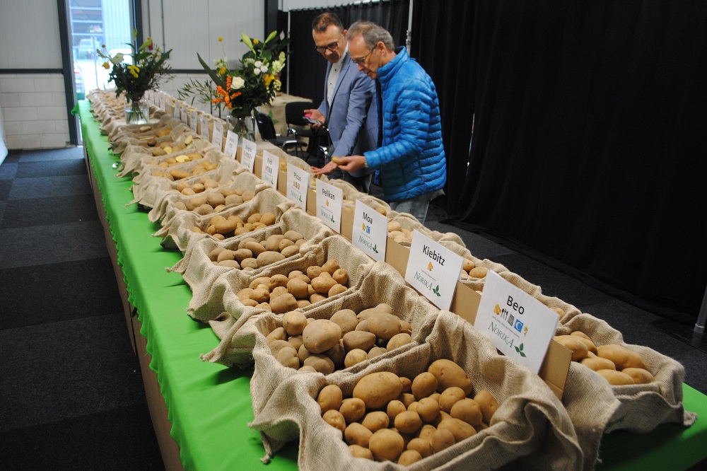 Potato varieties: a bit of history - part 1 and 2 5 Potato varieties: a bit of history – part 1 and 2
