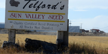 Long road for seed potato farmer Mike Telford and his growing family