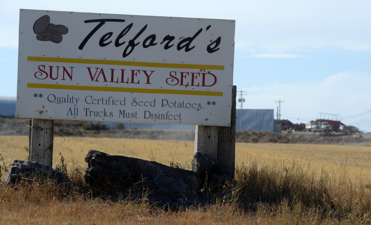 Long road for seed potato farmer Mike Telford and his growing family