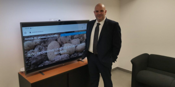 Domestic potatoes: would it be possible to supply 100% all year round?