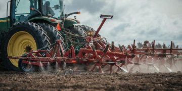 Сhemical fumigants in North American potato agriculture