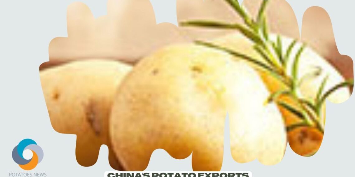 Chinas potato exports