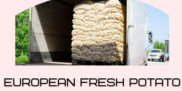 European Fresh Potato Exports Still Slow to Improve