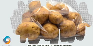 No More Plastic Packaging for French Fruits and Vegetables