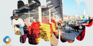 Possible Green Light for Saudi Spuds Exports