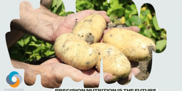 ‘Precision nutrition is the future’: ICL launches knowledge hub for enhanced efficiency fertilizers