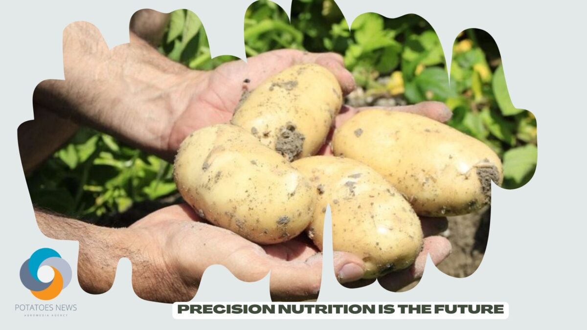 'La nutrición de precisión es el futuro': ICL lanza un centro de conocimiento para fertilizantes de mayor eficiencia