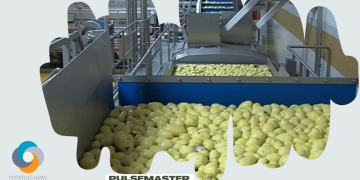 Pulsemaster Pulsed Electric Field PEF systems – the potential in potato processing
