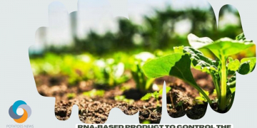 RNA-based Product to Control the Colorado Potato Beetle Awaits Regulatory Approval