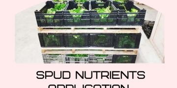 Tailor-made Solutions in Spud Nutrients Application