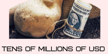 Tens of Millions of USD Worth of Potatoes Imported by Uzbekistan