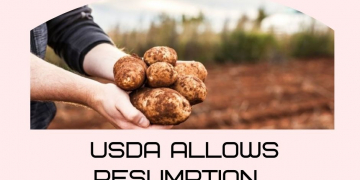 USDA allows resumption of Prince Edward Island tablestock potatoes into Puerto Rico