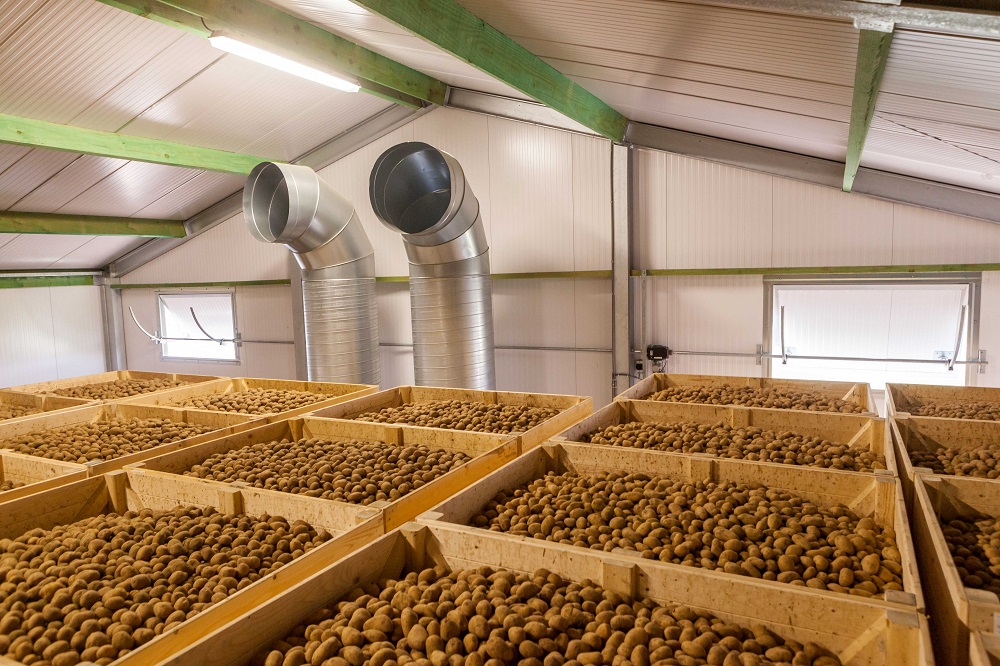 4. Sustainable production and storage of potatoes 28 4. Sustainable production and storage of potatoes