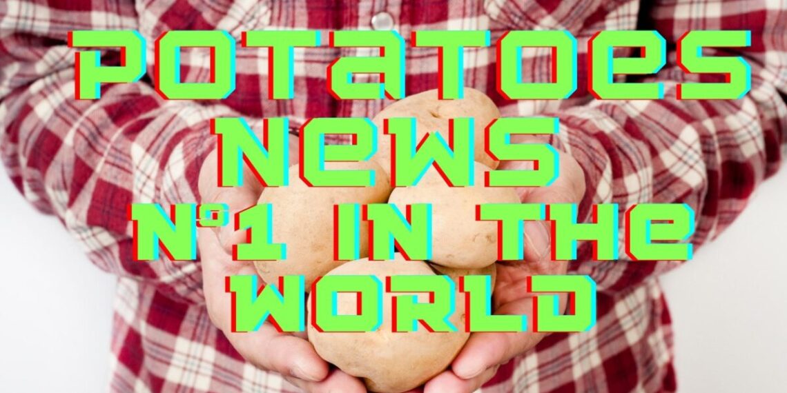 potatoes news №1