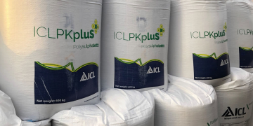 Polysulphate: a natural fit for high-quality potatoes.