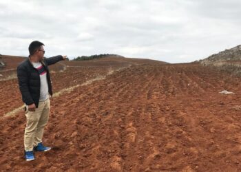 TanWei on the field of his farm