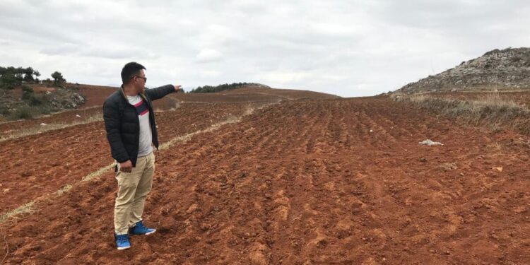 TanWei on the field of his farm