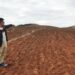 TanWei on the field of his farm