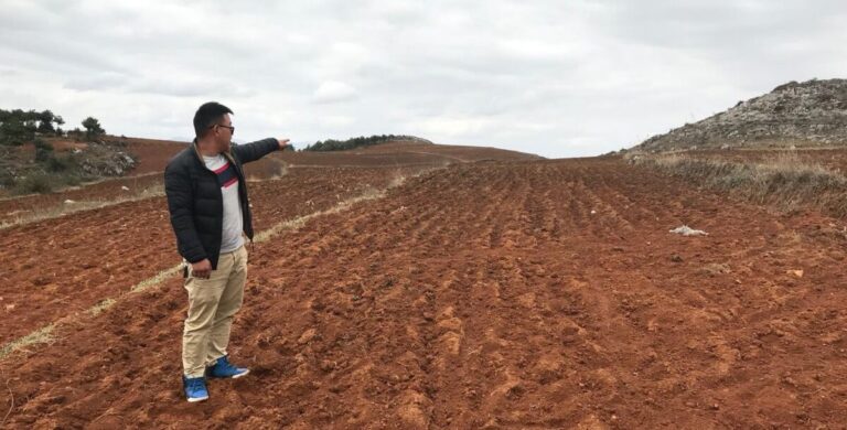 Family farm marketing in China