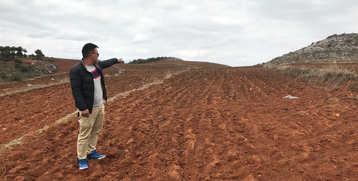 Family farm marketing in China