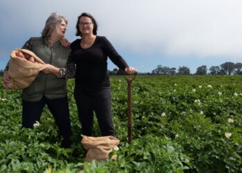 Spud Sisters potato farm