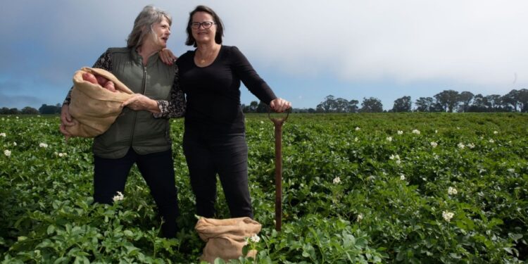 Spud Sisters potato farm