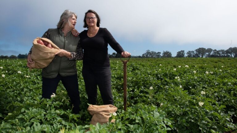 Spud Sisters potato farm