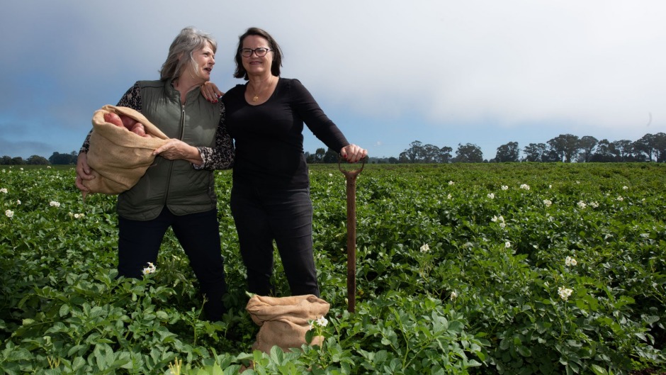 Spud Sisters potato farm