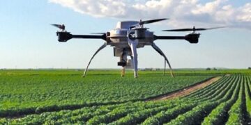 Tool for Nitrogen Inputs in Potatoes