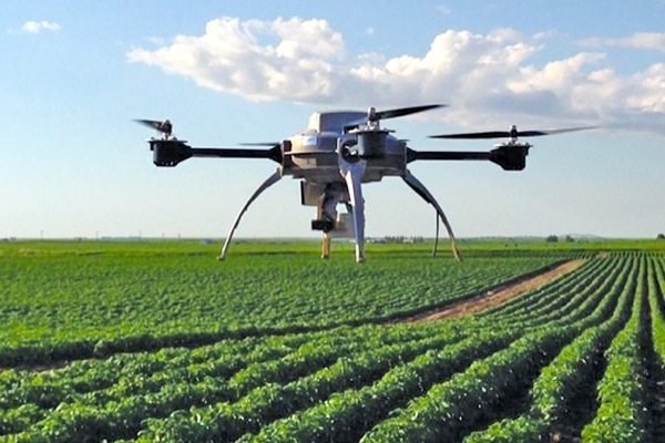 How a new tool for nitrogen inputs in potatoes works 49 Tool for Nitrogen Inputs in Potatoes