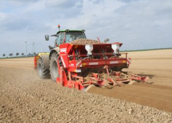 Grimme planter