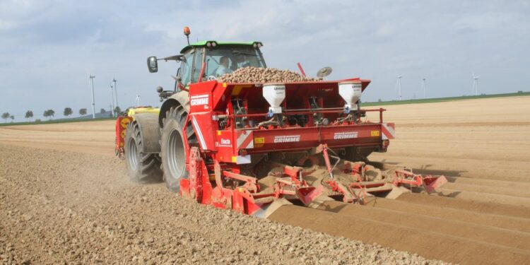 Grimme planter