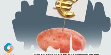 A ‘Fluid’ Potato Situation in Europe