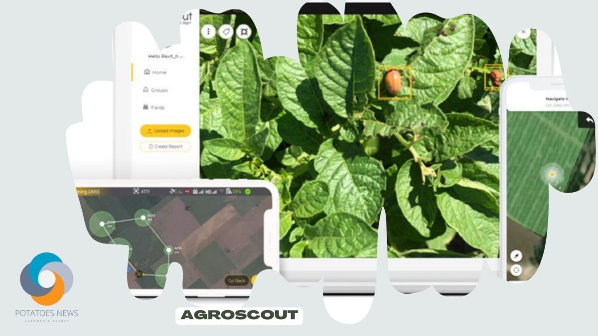 AgroScout დაჯილდოვდა "ტოპ 10 ყველაზე ინოვაციური პროდუქტის" მოწოდებისთვის