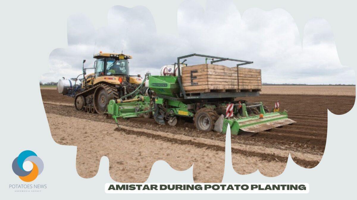 Updated information on in-furrow application of Amistar during potato planting 42 Updated information on in-furrow application of Amistar during potato planting