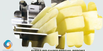 EUPPA releases special report highlighting environmental sustainability, ‘green ambitions’