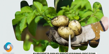 Europe’s Spud Processing Sector to Ensure the Future Viability of Our Planet
