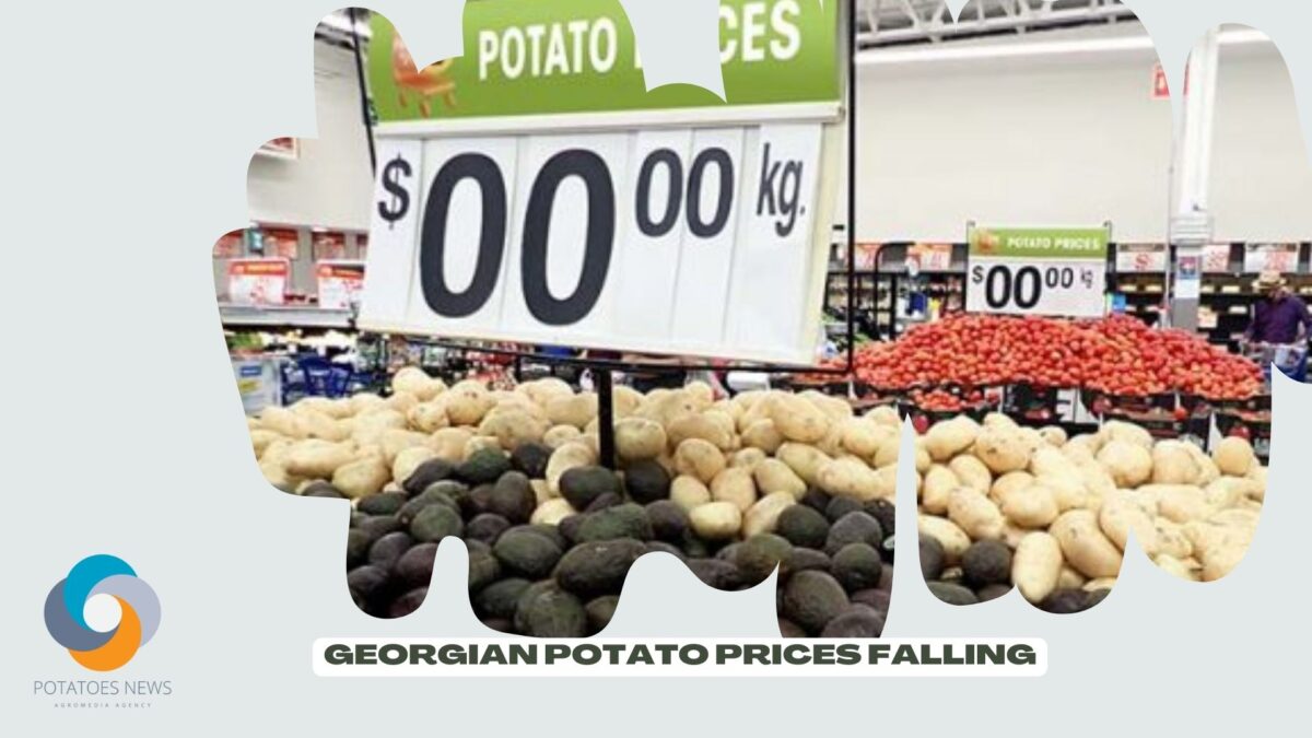 Caen los precios de la patata georgiana