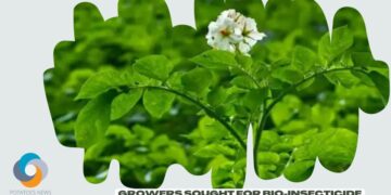 Growers sought for bio-insecticide trial